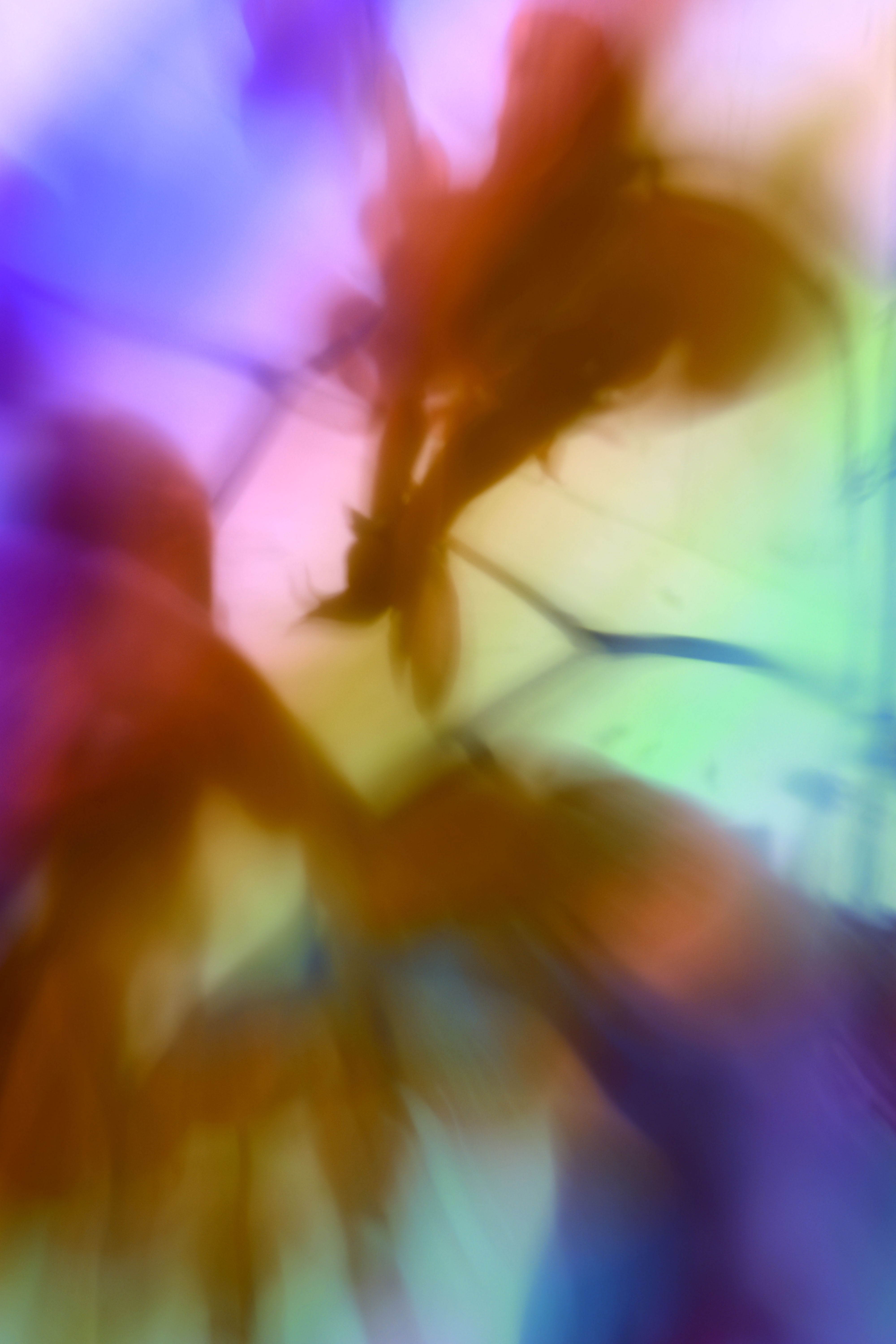 _